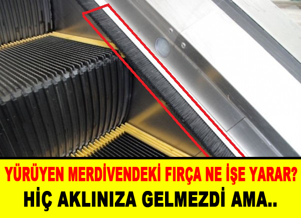 Yürüyen merdivenlerdeki fırça ne işe yarar?